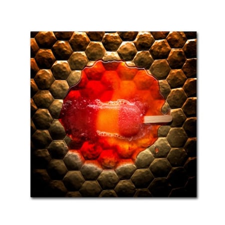 Trademark Fine Art